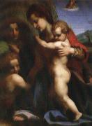 Andrea del Sarto Our Lady of sub oil on canvas